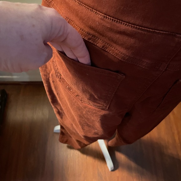 Sound Style Lucy Pull On legging pant petite small platinum stretch orange rust - Picture 8 of 16